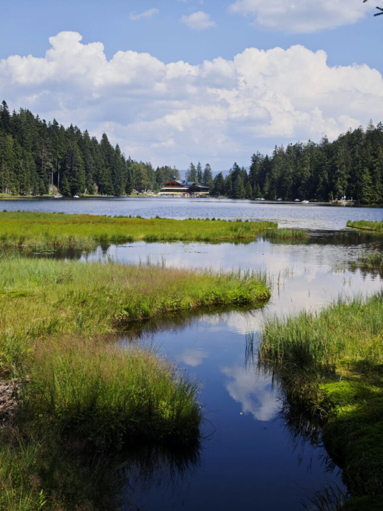 Sehenswürdigkeiten Bayerischer Wald - der Großer Arbersee